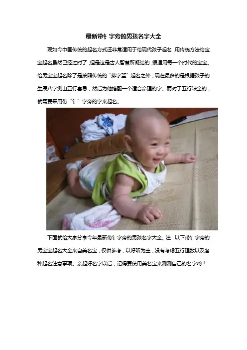 最新带钅字旁男孩名字大全