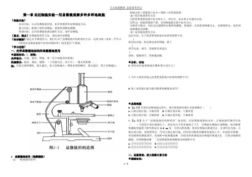 显微镜的使用(教案)