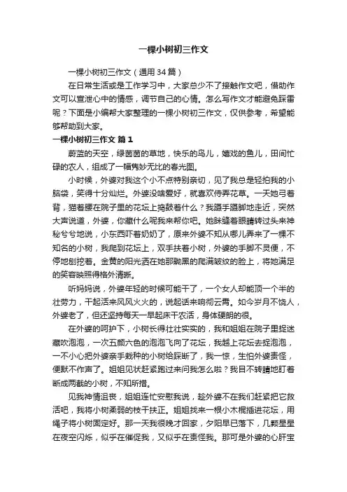 一棵小树初三作文