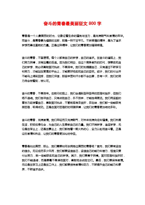奋斗的青春最美丽征文800字