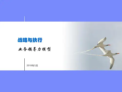 战略与执行：业务领导力模型BLMppt课件