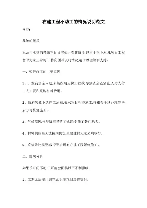 在建工程不动工的情况说明范文