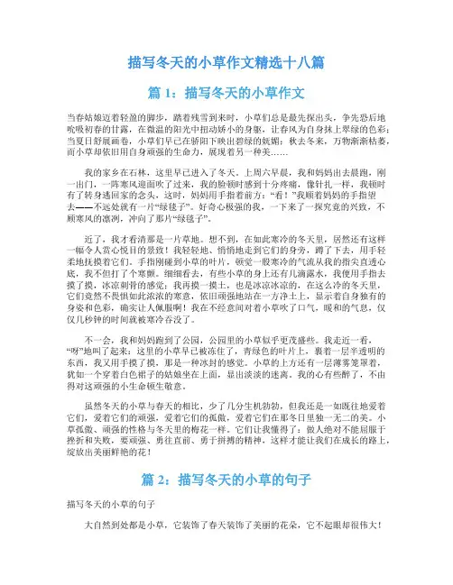 描写冬天的小草作文精选十八篇