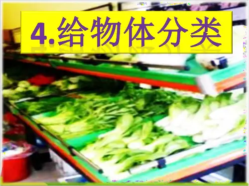 一级下册科学课件《.给物体分类》 教科版