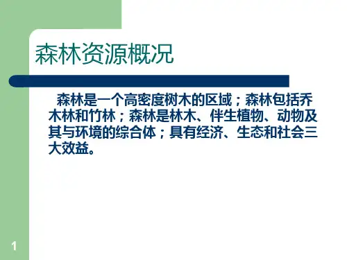 森林资源概况PPT课件