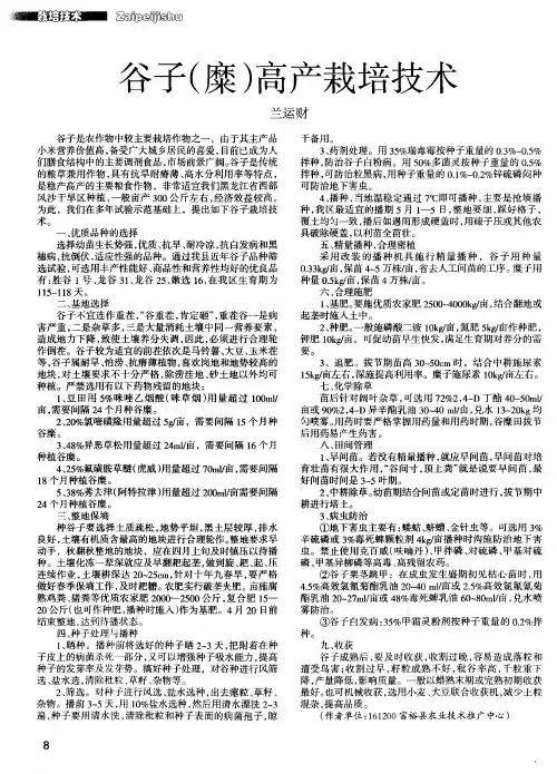 谷子(糜)高产栽培技术