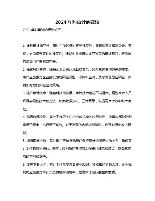 2024年对审计的建议