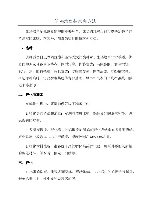 雏鸡培育技术和方法