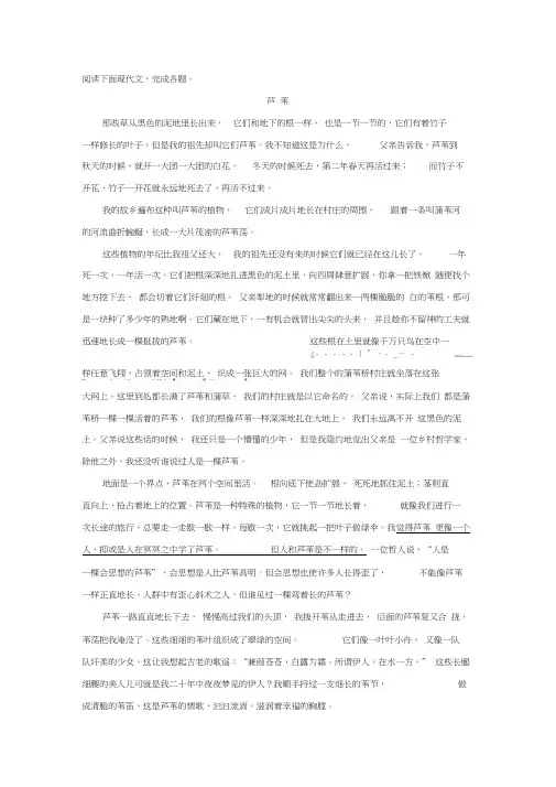 《芦苇》阅读练习及答案