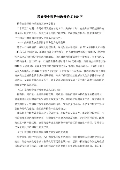 粮食安全形势与政策论文800字