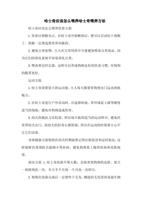 哈士奇应该怎么喂养哈士奇喂养方法