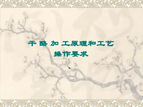 干酪加工原理和工艺操作要求