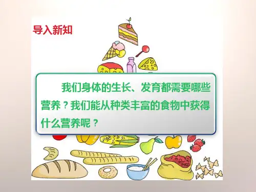 食物中的营养食物PPT课件.pptx