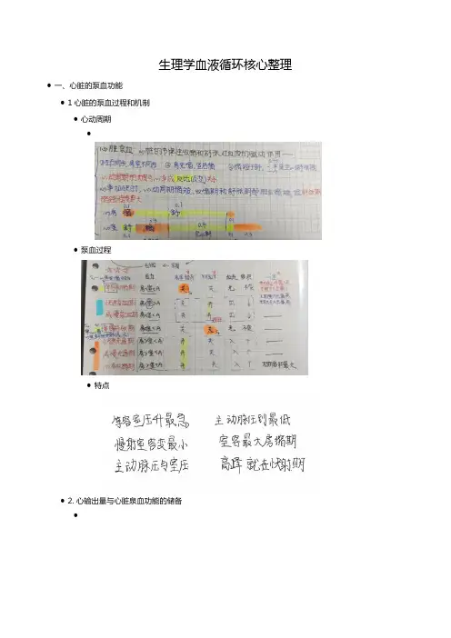 生理学血液循环核心整理