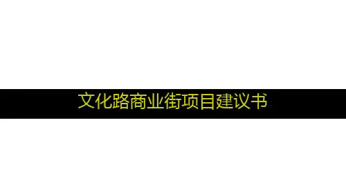 某地区商业街项目管理知识分析建议书(PPT 42页)