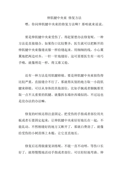 伸肌腱中央束 修复方法
