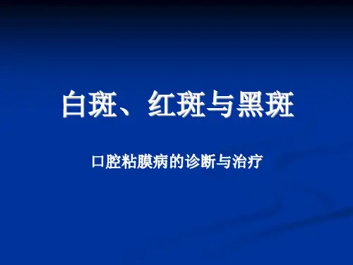 白斑红斑与黑斑ppt课件