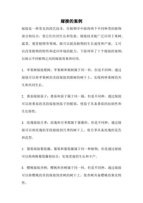 嫁接的案例