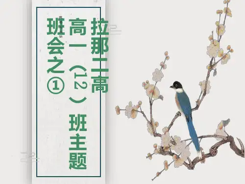 主题班会我要上大学