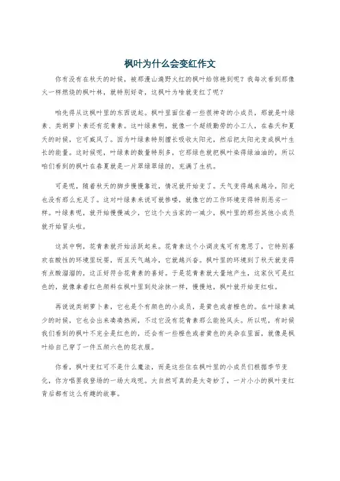 枫叶为什么会变红作文
