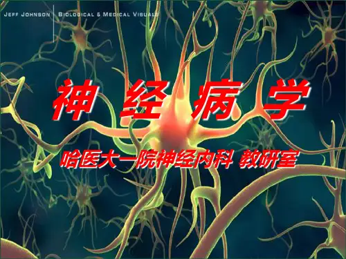 神经病学总论
