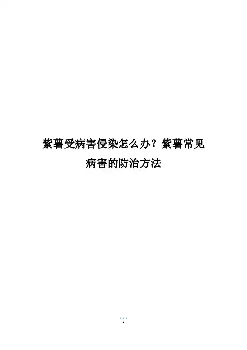 紫薯受病害侵染怎么办？紫薯常见病害的防治方法