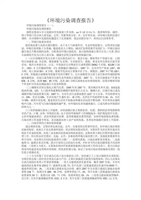 环境污染调查报告10篇