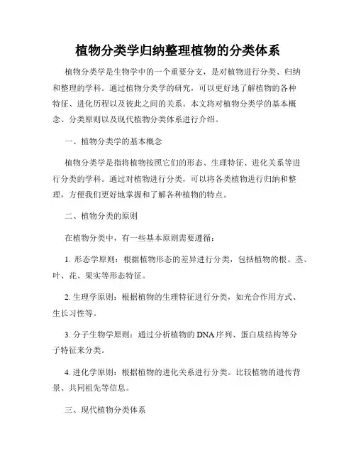 植物分类学归纳整理植物的分类体系