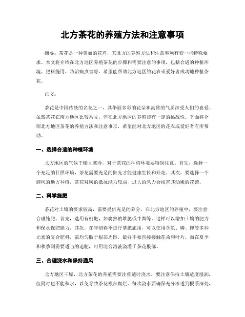 北方茶花的养殖方法和注意事项
