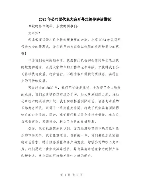 2023年公司团代表大会开幕式领导讲话模板