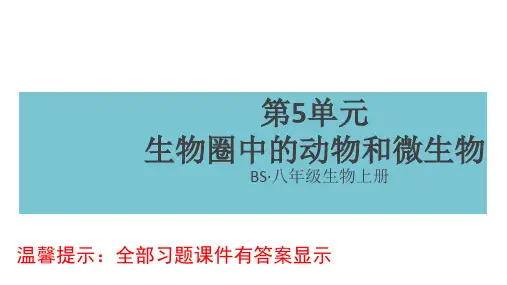 北师大版八年级生物上册复习课件全套