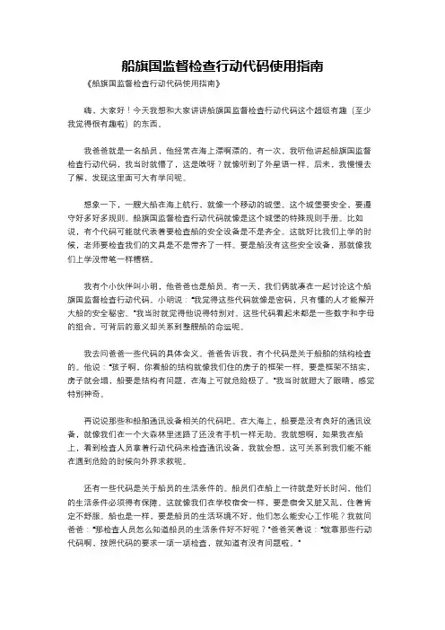 船旗国监督检查行动代码使用指南