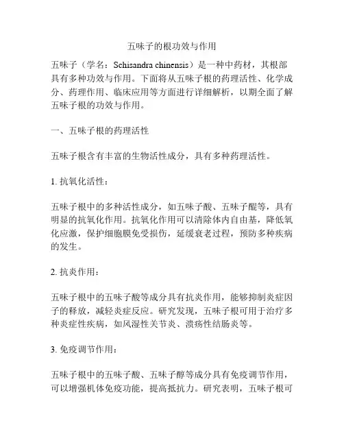 五味子的根功效与作用