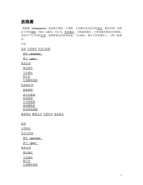 放线菌