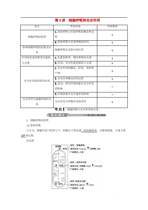 浙江省2020版高考生物二轮复习第4讲细胞呼吸和光合作