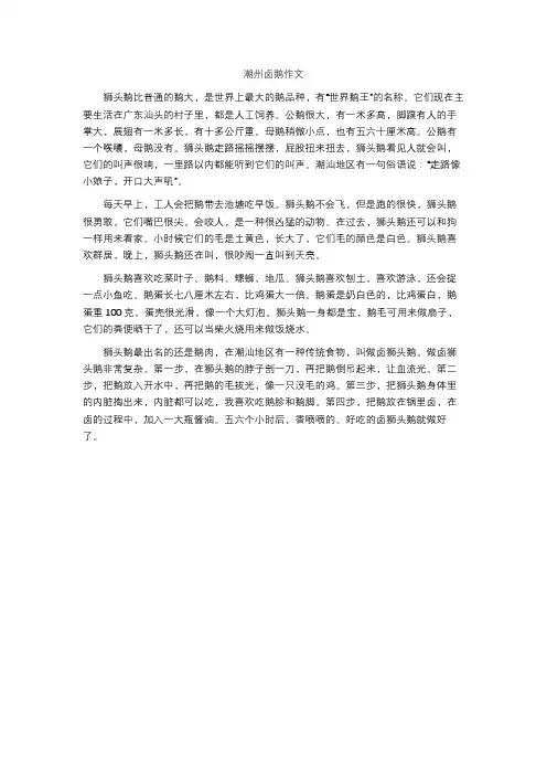 潮州卤鹅作文