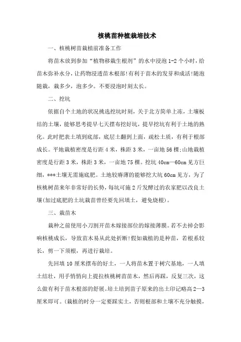 核桃苗种植栽培技术