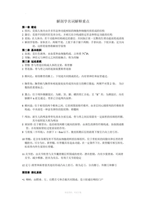解剖名词解释重点
