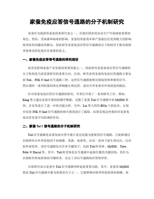 家蚕免疫应答信号通路的分子机制研究