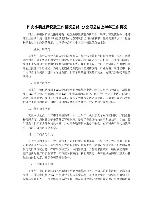 妇女小额担保贷款工作情况总结_分公司总结上半年工作情况