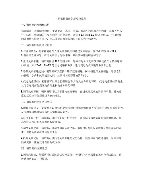 葡聚糖激活免疫反应流程