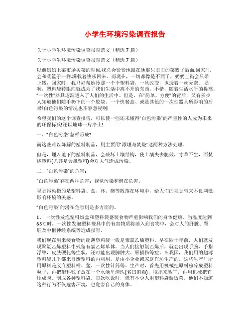 小学生环境污染调查报告