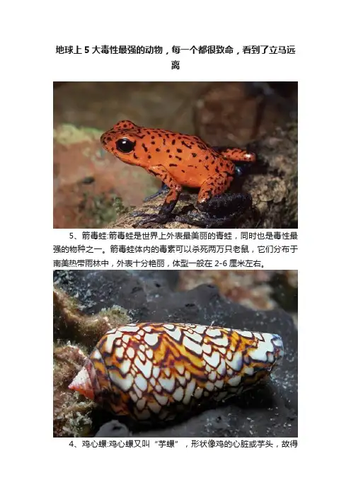 地球上5大毒性最强的动物，每一个都很致命，看到了立马远离
