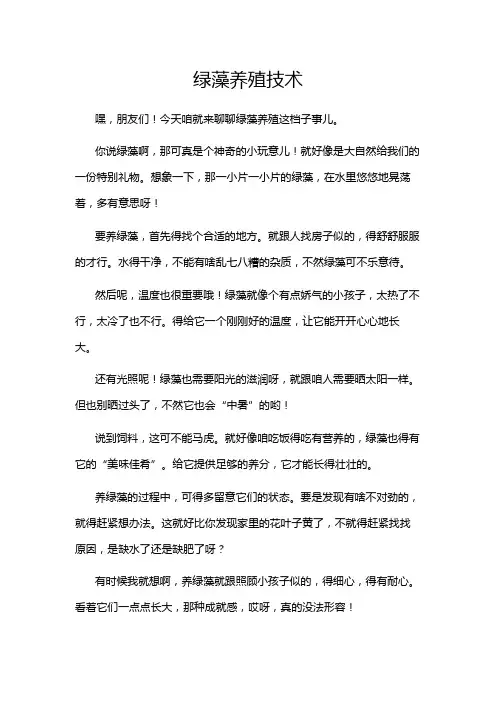绿藻养殖技术
