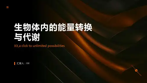 生物体内的能量转换与代谢
