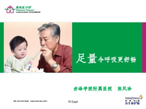 雾化吸入布地奈德混悬液治疗PPT课件