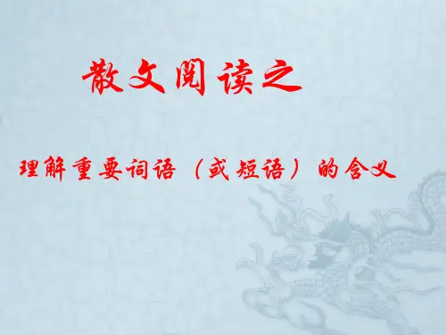 散文阅读理解词语含义
