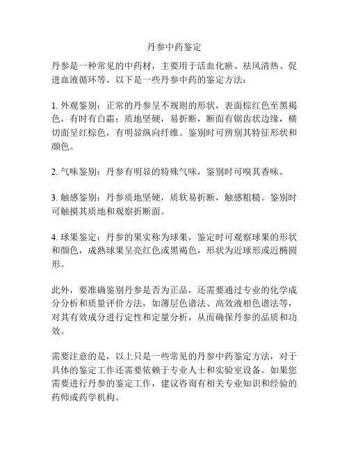 丹参中药鉴定