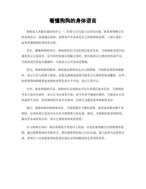 看懂狗狗的身体语言
