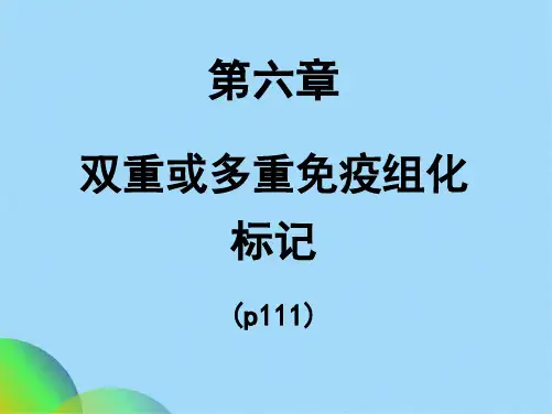 双重或多重免疫组化标记(共42张PPT)